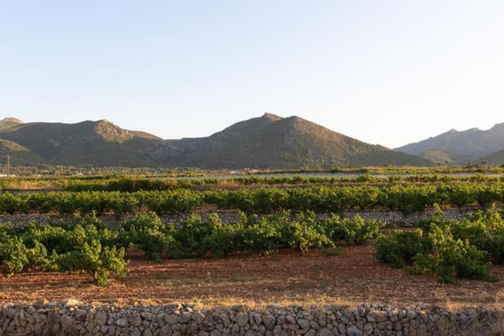 Apartamento La Calma Lliber Buitenkant foto